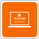 Related Products - Wildcard SSL Certificate